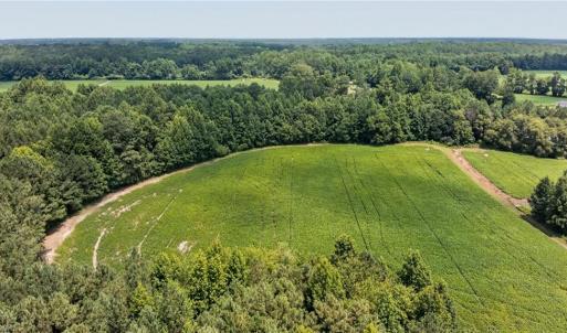 Photo #11 of 2249 Hosier Road, Suffolk, Virginia 69.3 acres