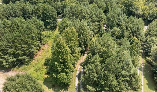 Photo #14 of 2249 Hosier Road, Suffolk, Virginia 69.3 acres