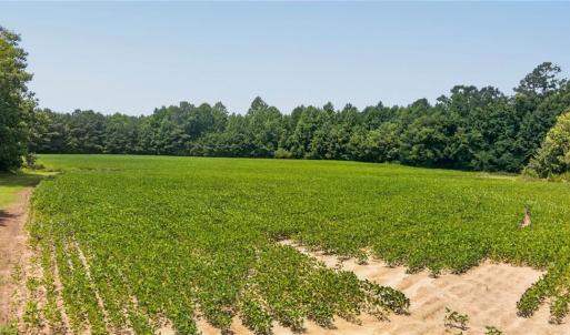 Photo #15 of 2249 Hosier Road, Suffolk, Virginia 69.3 acres