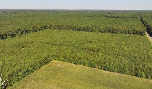 Photo #3 of 006 Georgetown Road, Waverly, Virginia 15.0 acres