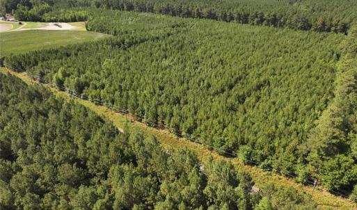 Photo #4 of 006 Georgetown Road, Waverly, Virginia 15.0 acres