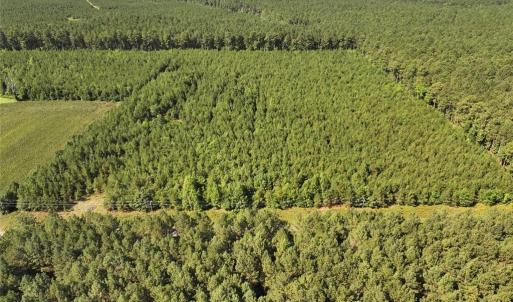 Photo #5 of 006 Georgetown Road, Waverly, Virginia 15.0 acres