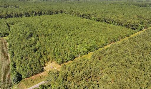 Photo #6 of 006 Georgetown Road, Waverly, Virginia 15.0 acres
