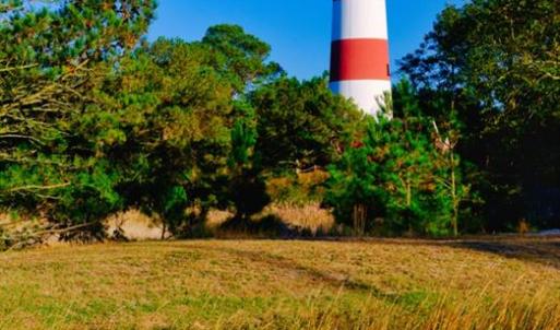 Photo #5 of 3 AC Lot 103 Coventon Lane, Horntown, Virginia
