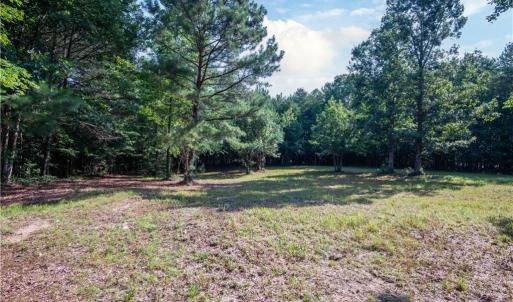 Photo #7 of 6250 Tuckers Ridge Lane, Barhamsville, Virginia 2.0 acres