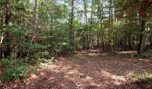 Photo #9 of 6250 Tuckers Ridge Lane, Barhamsville, Virginia 2.0 acres