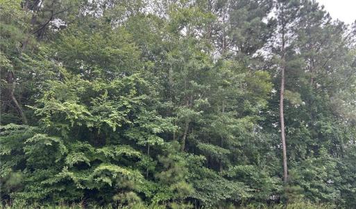 Photo #4 of 3439 Westport Road, Williamsburg, Virginia 4.2 acres