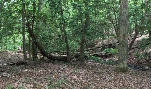 Photo #26 of 280 Elmington Place, Heathsville, Virginia