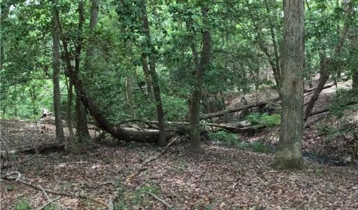 Photo #24 of 280 Elmington Place, Heathsville, Virginia