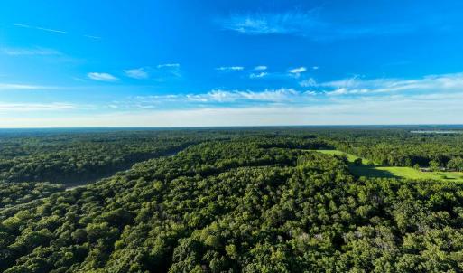 Photo #13 of 2425 Jolly Pond Road, Williamsburg, Virginia 15.5 acres