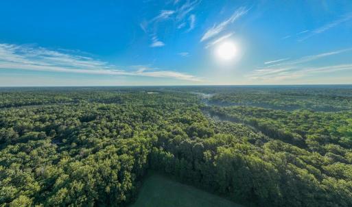 Photo #14 of 2425 Jolly Pond Road, Williamsburg, Virginia 15.5 acres