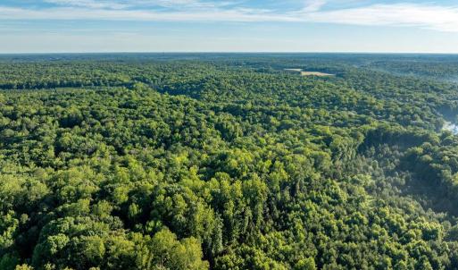 Photo #16 of 2425 Jolly Pond Road, Williamsburg, Virginia 15.5 acres