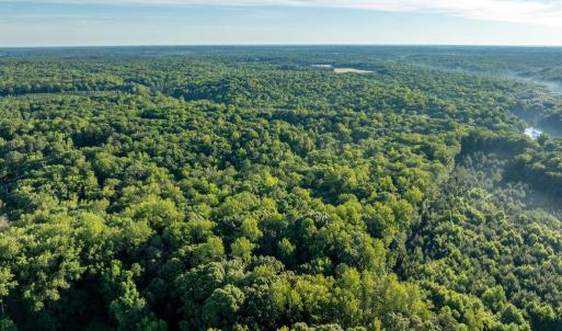 Photo #17 of 2425 Jolly Pond Road, Williamsburg, Virginia 15.5 acres