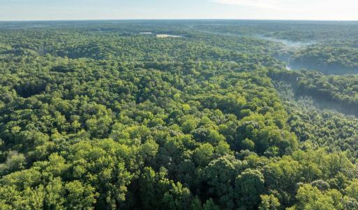 Photo #18 of 2425 Jolly Pond Road, Williamsburg, Virginia 15.5 acres