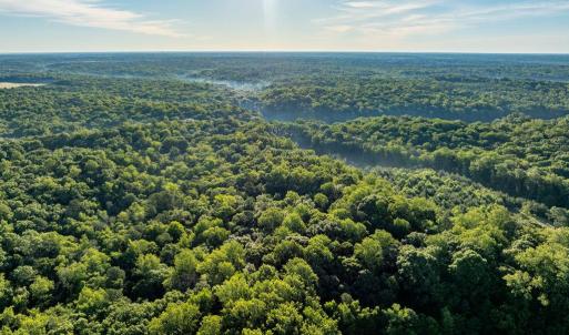 Photo #19 of 2425 Jolly Pond Road, Williamsburg, Virginia 15.5 acres