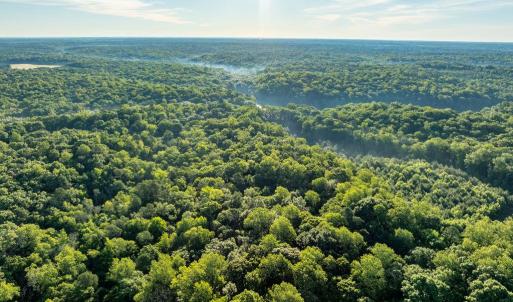 Photo #20 of 2425 Jolly Pond Road, Williamsburg, Virginia 15.5 acres