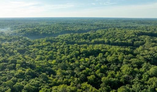 Photo #22 of 2425 Jolly Pond Road, Williamsburg, Virginia 15.5 acres