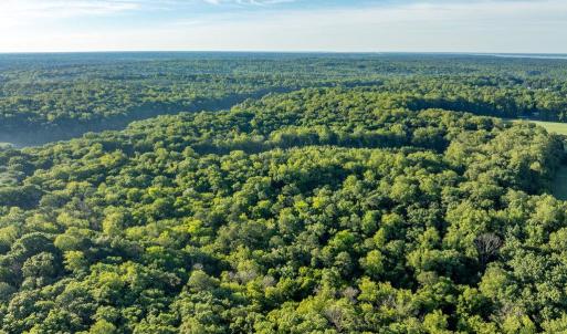 Photo #23 of 2425 Jolly Pond Road, Williamsburg, Virginia 15.5 acres