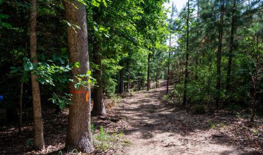 Photo #24 of 2425 Jolly Pond Road, Williamsburg, Virginia 15.5 acres