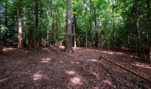 Photo #26 of 2425 Jolly Pond Road, Williamsburg, Virginia 15.5 acres
