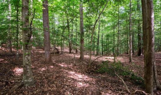 Photo #27 of 2425 Jolly Pond Road, Williamsburg, Virginia 15.5 acres