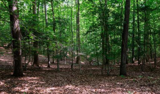Photo #29 of 2425 Jolly Pond Road, Williamsburg, Virginia 15.5 acres
