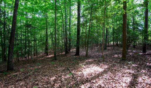 Photo #30 of 2425 Jolly Pond Road, Williamsburg, Virginia 15.5 acres