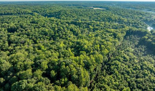 Photo #4 of 2425 Jolly Pond Road, Williamsburg, Virginia 15.5 acres