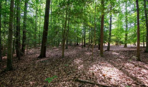 Photo #31 of 2425 Jolly Pond Road, Williamsburg, Virginia 15.5 acres