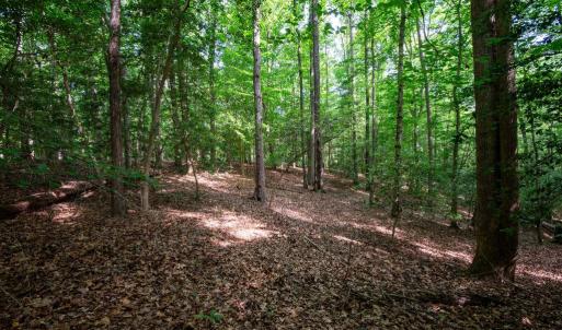 Photo #32 of 2425 Jolly Pond Road, Williamsburg, Virginia 15.5 acres