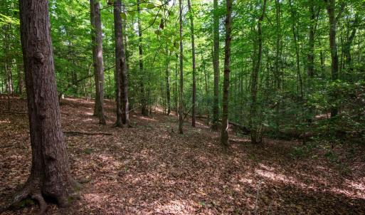 Photo #33 of 2425 Jolly Pond Road, Williamsburg, Virginia 15.5 acres