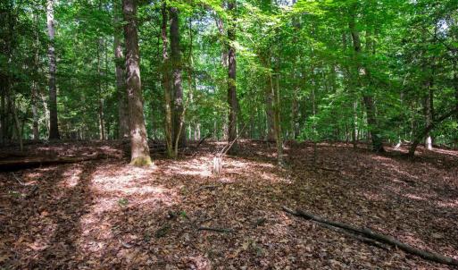 Photo #34 of 2425 Jolly Pond Road, Williamsburg, Virginia 15.5 acres