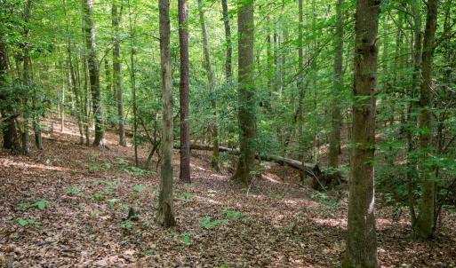 Photo #35 of 2425 Jolly Pond Road, Williamsburg, Virginia 15.5 acres