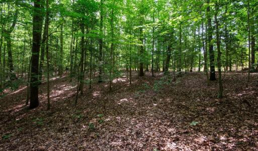 Photo #37 of 2425 Jolly Pond Road, Williamsburg, Virginia 15.5 acres