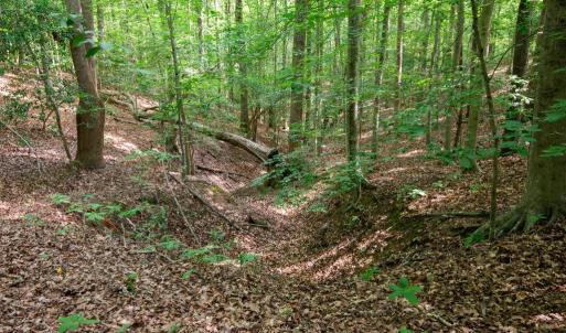 Photo #38 of 2425 Jolly Pond Road, Williamsburg, Virginia 15.5 acres