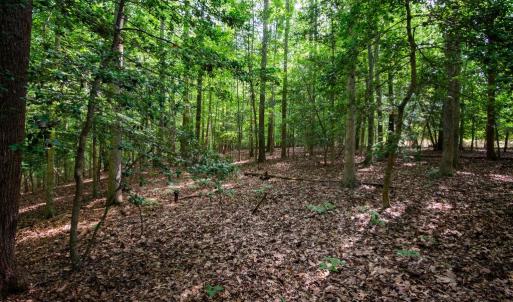 Photo #39 of 2425 Jolly Pond Road, Williamsburg, Virginia 15.5 acres