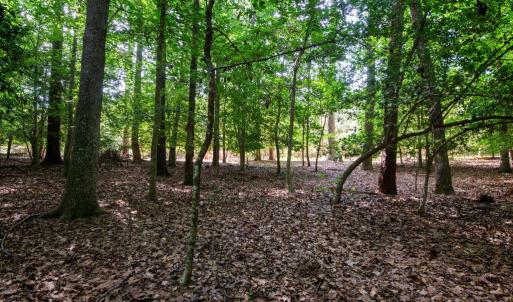Photo #40 of 2425 Jolly Pond Road, Williamsburg, Virginia 15.5 acres