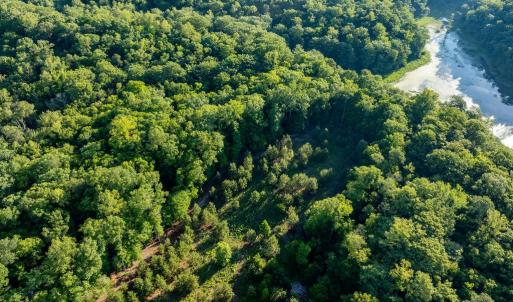 Photo #5 of 2425 Jolly Pond Road, Williamsburg, Virginia 15.5 acres