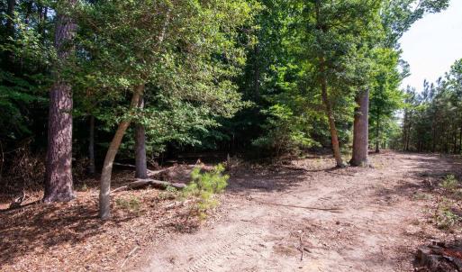 Photo #41 of 2425 Jolly Pond Road, Williamsburg, Virginia 15.5 acres