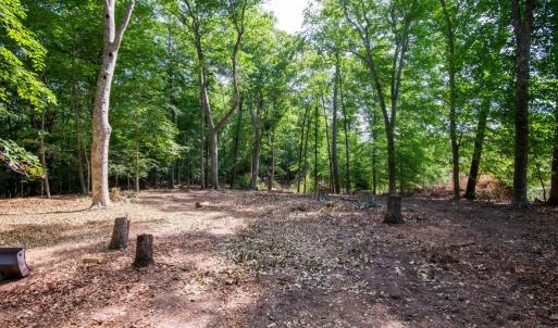 Photo #44 of 2425 Jolly Pond Road, Williamsburg, Virginia 15.5 acres