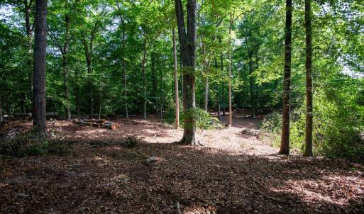 Photo #46 of 2425 Jolly Pond Road, Williamsburg, Virginia 15.5 acres