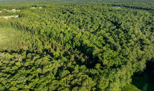 Photo #6 of 2425 Jolly Pond Road, Williamsburg, Virginia 15.5 acres