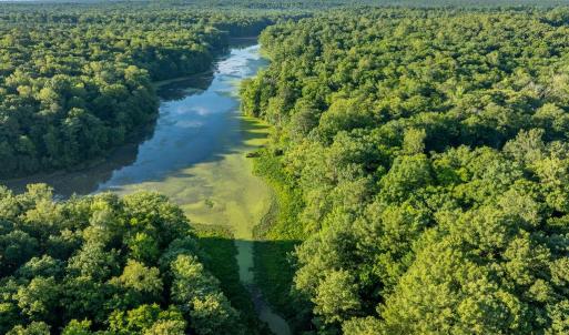 Photo #7 of 2425 Jolly Pond Road, Williamsburg, Virginia 15.5 acres