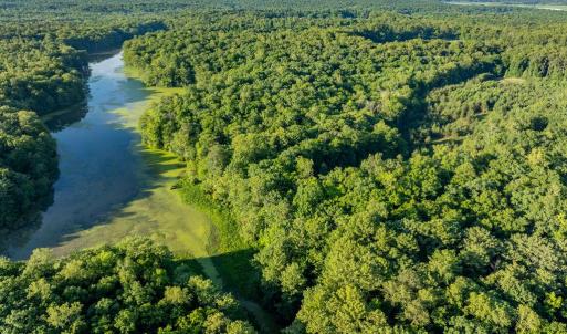 Photo #8 of 2425 Jolly Pond Road, Williamsburg, Virginia 15.5 acres