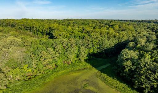 Photo #9 of 2425 Jolly Pond Road, Williamsburg, Virginia 15.5 acres