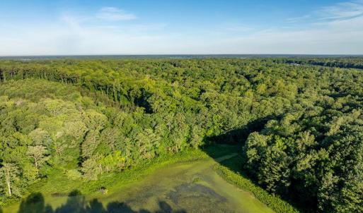Photo #10 of 2425 Jolly Pond Road, Williamsburg, Virginia 15.5 acres