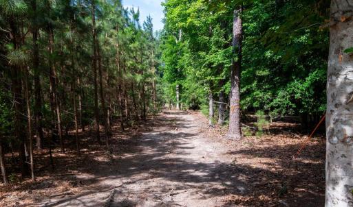 Photo #8 of 2425 Jolly Pond Road, Williamsburg, Virginia 15.5 acres