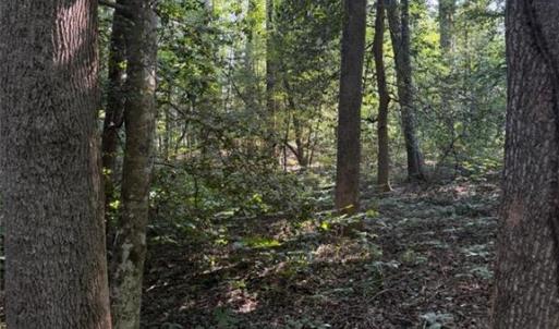 Photo #3 of 1.27ac Ware Street, Gloucester, Virginia 1.3 acres