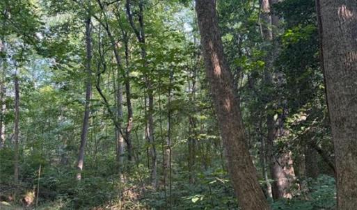 Photo #5 of 1.27ac Ware Street, Gloucester, Virginia 1.3 acres