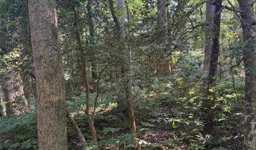 Photo #6 of 1.27ac Ware Street, Gloucester, Virginia 1.3 acres